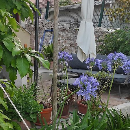 Podvrsina1A Rosa Villa Preko Dış mekan fotoğraf
