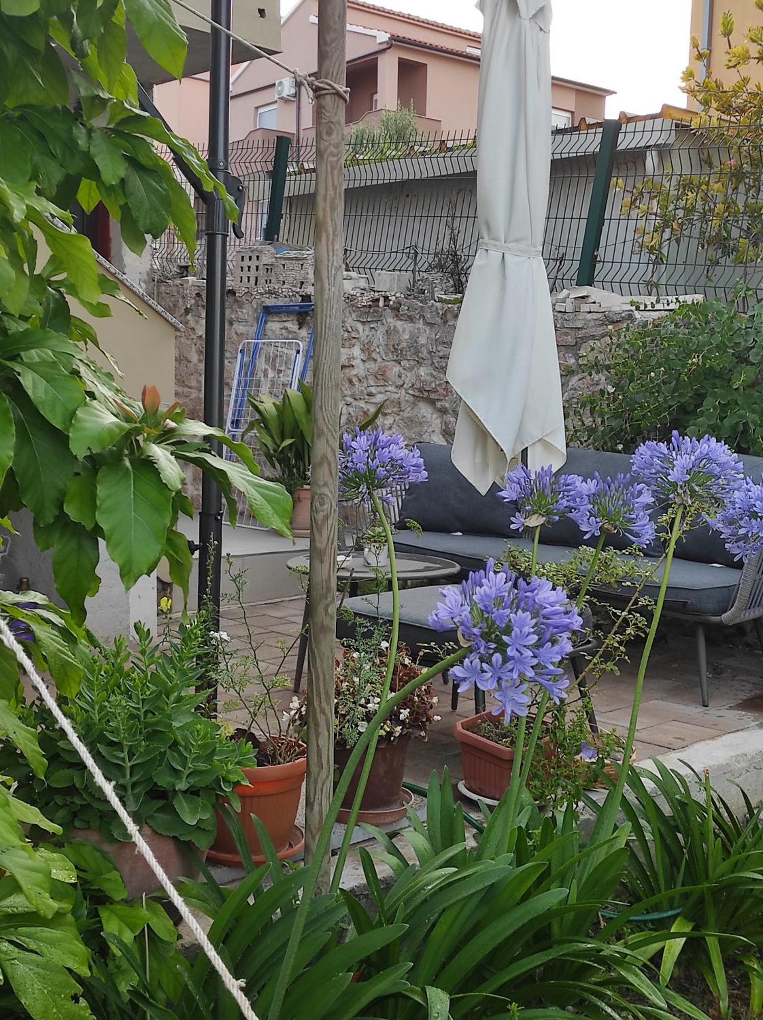 Podvrsina1A Rosa Villa Preko Dış mekan fotoğraf